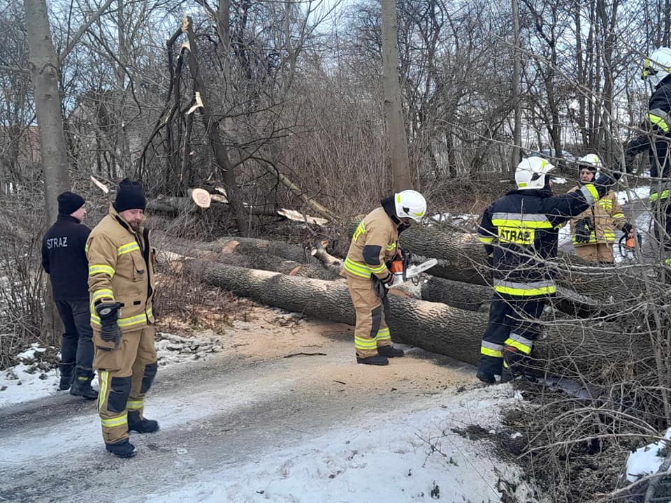 Niż Katrin już we Wrocławiu. Wichura coraz silniejsza!