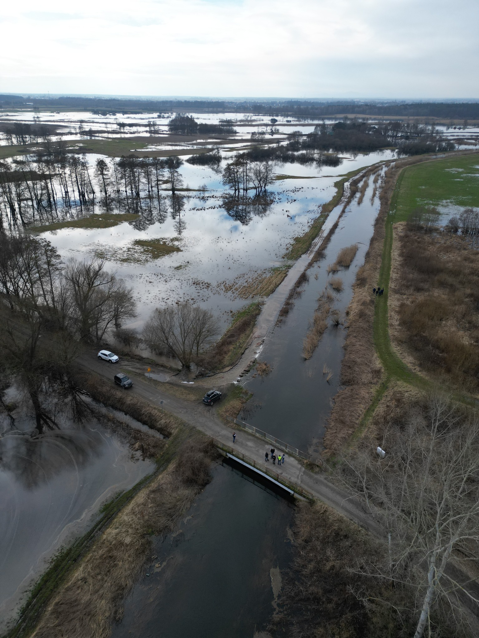 Pod Wrocławiem z niepokojem patrzą na rzekę. "Różne scenariusze"
