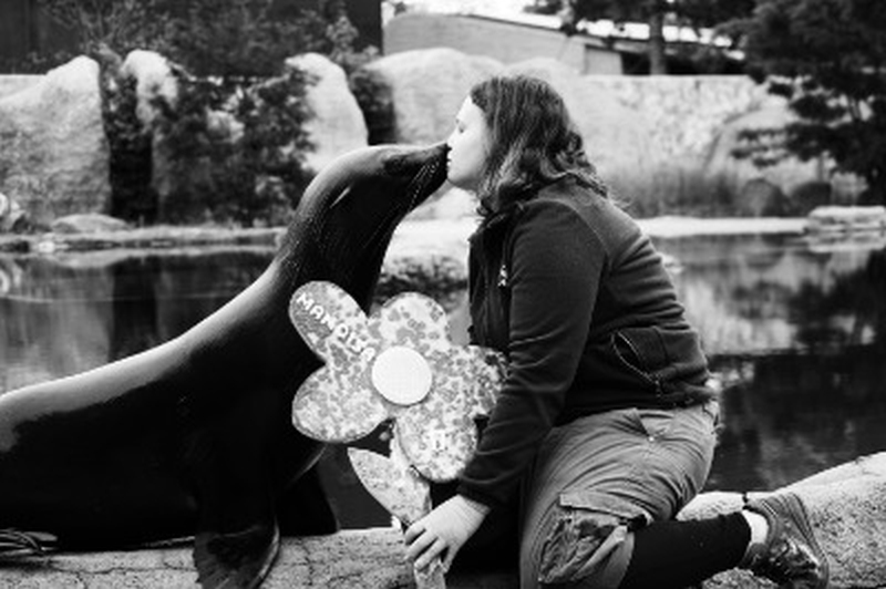 "Żegnaj Mendy-Pendy". Wrocławskie zoo opłakuje kotika, który został uśpiony