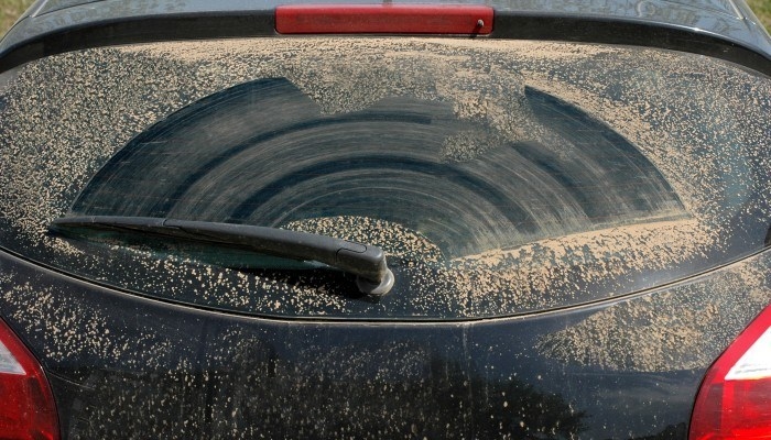 Pył znad Sahary znów zmierza do Polski. "Auta będą żółte"